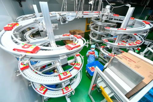 聚焦中小企業紓困幫扶 優化財稅法治環境助力消毒器械銷售企業